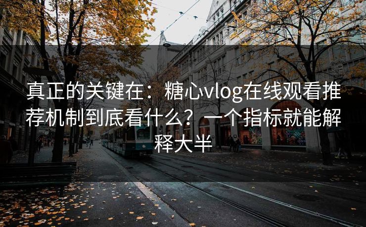 真正的关键在：糖心vlog在线观看推荐机制到底看什么？一个指标就能解释大半