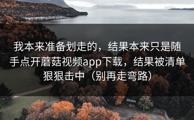 我本来准备划走的，结果本来只是随手点开蘑菇视频app下载，结果被清单狠狠击中（别再走弯路）